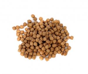alimentation animale Charleroi alimentation animale Charleroi